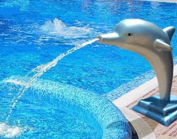 Delfin. Poza 263